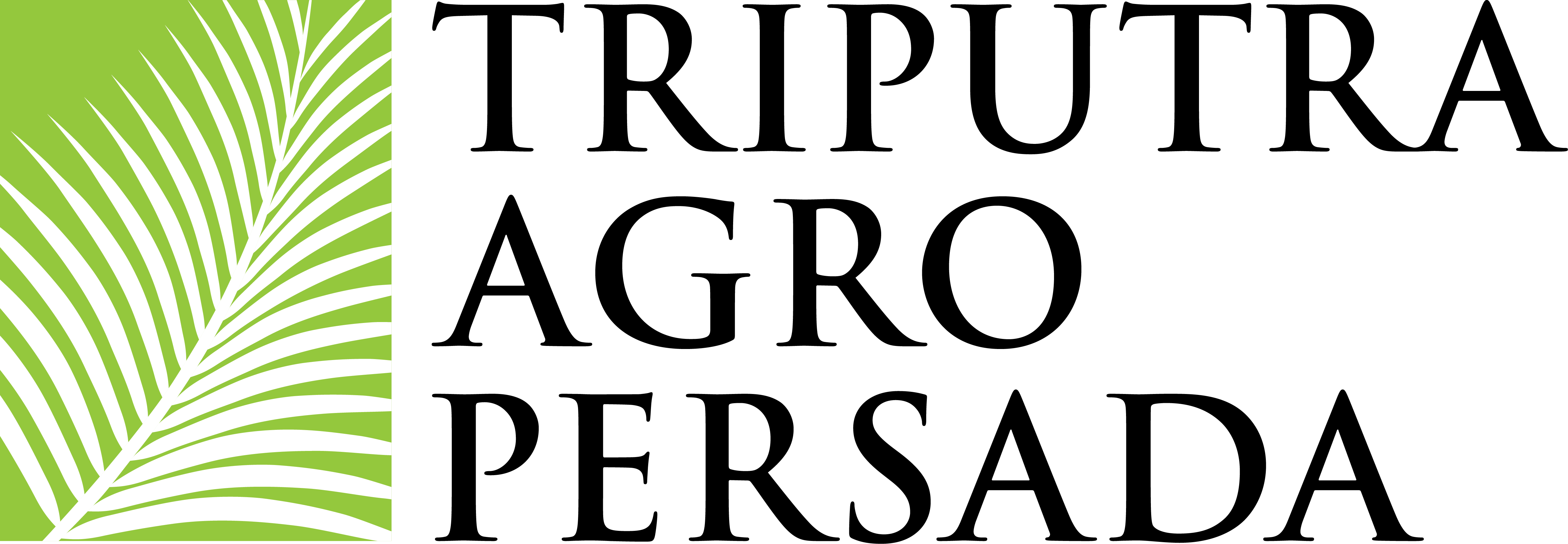Klien 14